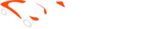 Teslyto